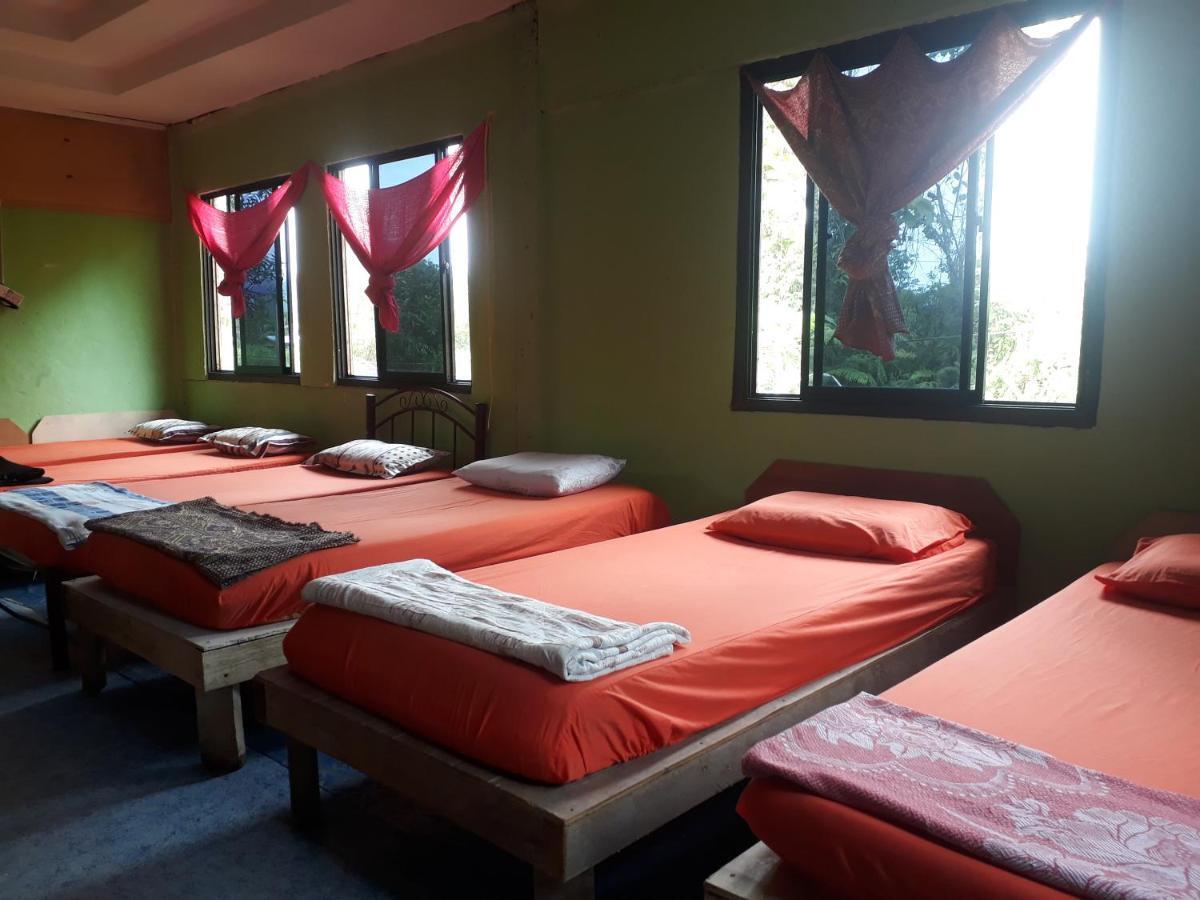 Mulu D Cave Homestay Zewnętrze zdjęcie