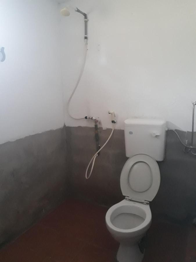 Mulu D Cave Homestay Zewnętrze zdjęcie